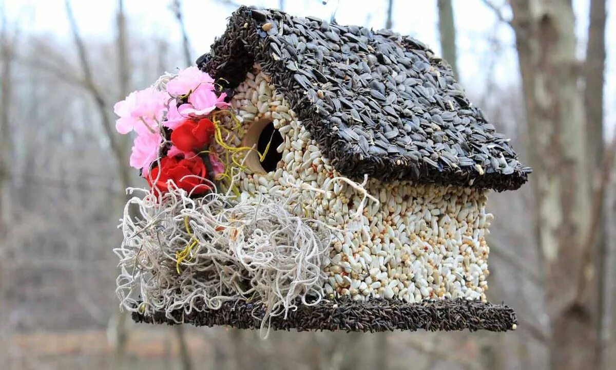 кормушка для птиц. изготовление съедобных кормушек. съедобная кормушка для птиц. украшение кормушки для птиц. оригинальные кормушки для птиц.