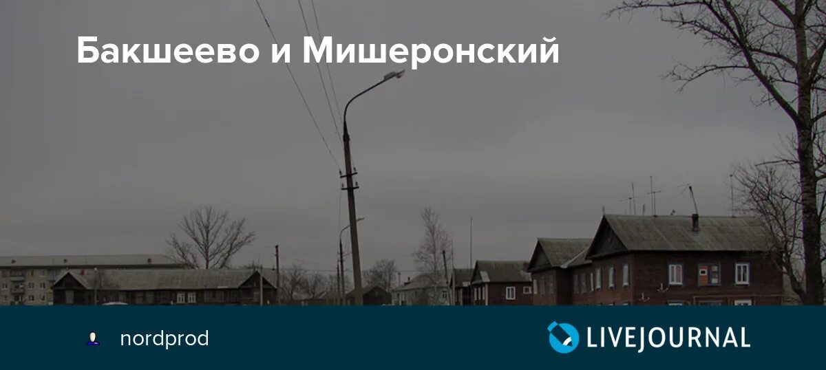 Рошаль мишеронский. Бакшеево. Бакшеево Рошаль. Мишеронский деревня-2. Бакшеево карта.