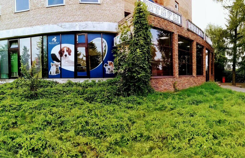 свой доктор ветеринарная клиника люблино. глобал вет клиника. салова 16 ветеринарная клиника спб. горки 10 ветеринарная клиника. первомайский ветеринарный центр.