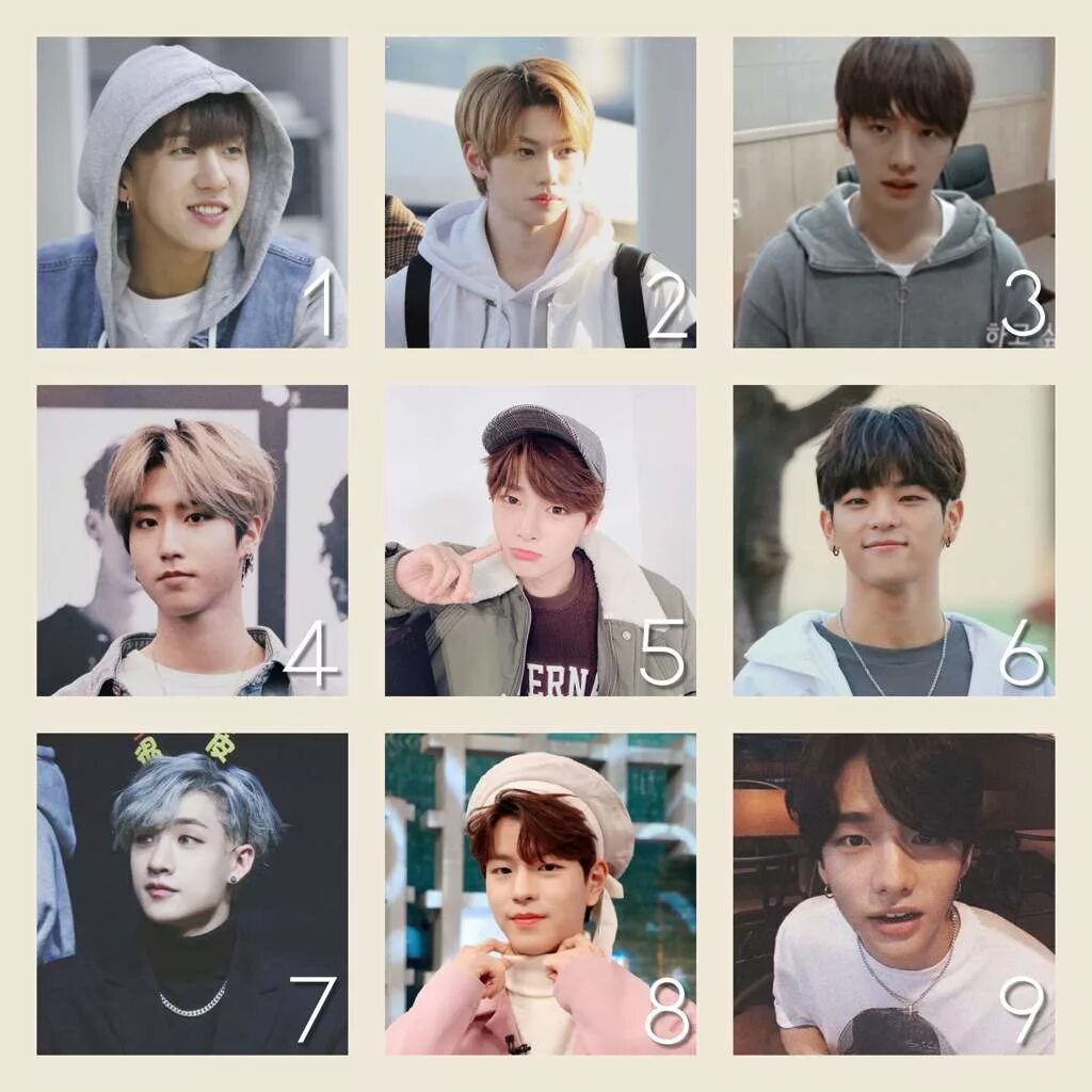 Тест кто из stray kids твой. Фигурки Stray Kids. Stray Kids и их персонажи. Stray Kids коллаж. Чб карточки Stray Kids.