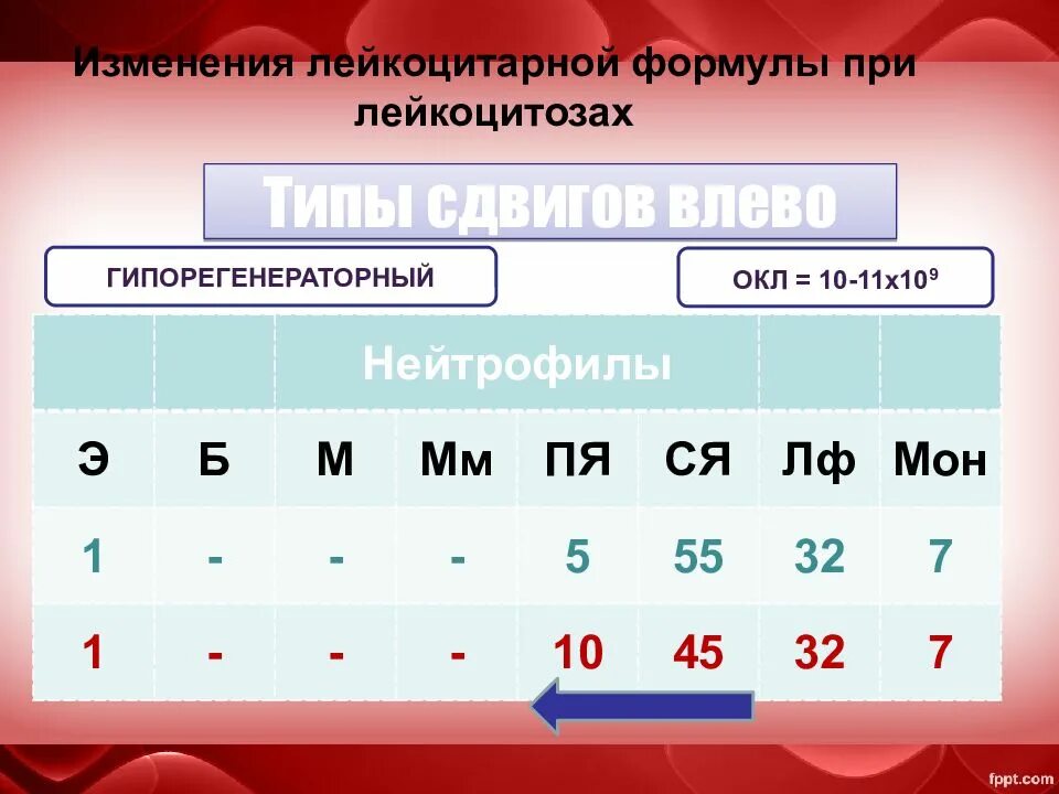 Нейтрофильный индекс. Изменение лейкоцитарной формулы сдвиги. Индекс сдвига лейкоцитарной формулы. Лейкоцитарный сдвиг вправо. Сдвиг лейкоцитарной формулы влево.