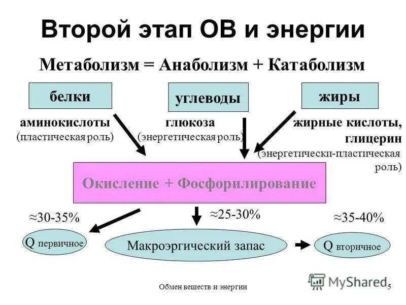 Обмен жиров белков углеводов воды. Схема обмена веществ в организме метаболизм. Схема обмена веществ анаболизм катаболизм. Обмен веществ и энергии обменные процессы в организме. Схема обмена белков жиров и углеводов в организме человека.