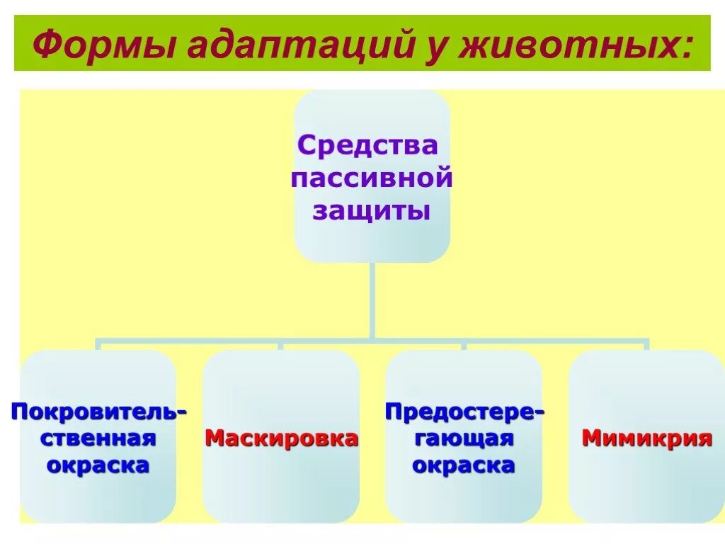 Формы адаптации животных. Формы адаптации. виды адаптации в биологии. средства активной защиты у животных. пассивная защита биология.