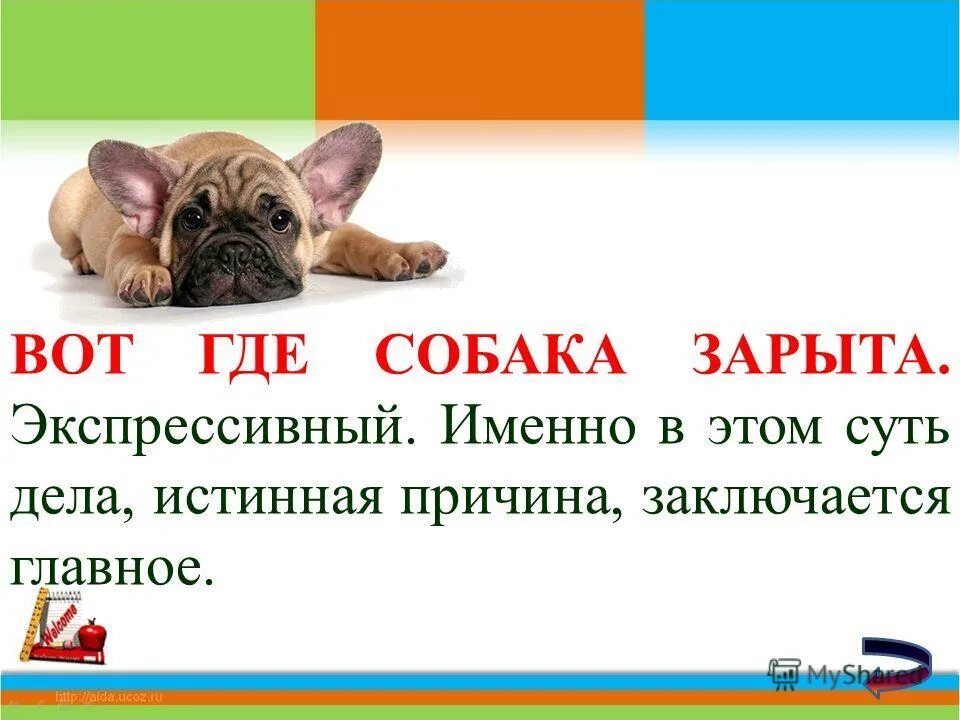 фразеологизм так вот где собака зарыта.