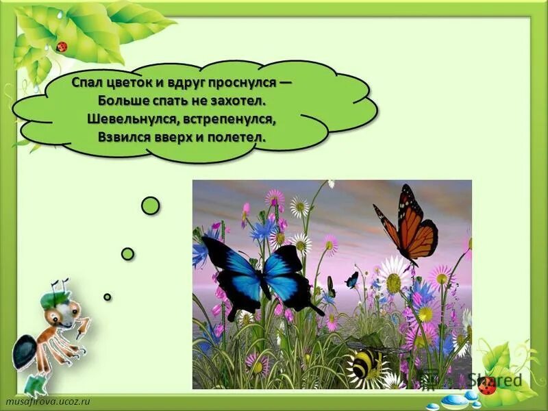 боже как это круто когда просыпаешься среди ночи. стих спал цветок и вдруг проснулся. среди ночи он проснулся. физкультминутка про цветы. спал цветок и вдруг проснулся.