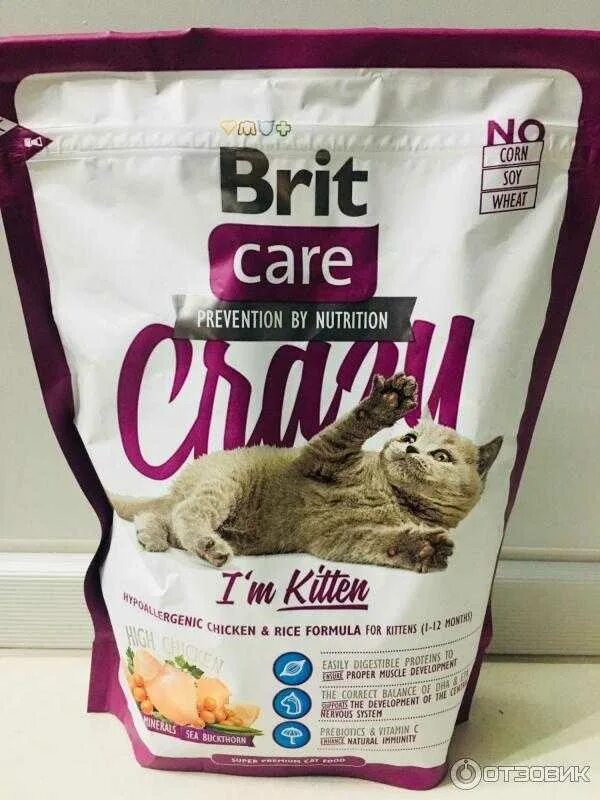 Brit Care для котят сухой. Корм для кошек Brit Care Toby. Брит премиум Кеа для кошек. Brit Care Kitten состав. Брит кеа