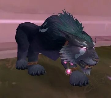 Wow кошки