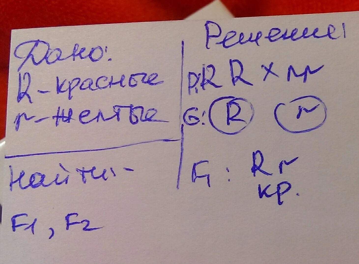 У томатов красная окраска доминирует над желтой. У томатов ген. У томатов красная окраска плода доминирует над желтой. У томатов ген обуславливающий красный цвет плодов доминирует. У томатов ген обеспечивающий красный цвет плодов.