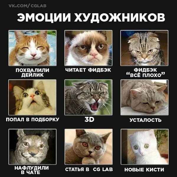 Какой ты сегодня кот. Какой ты котик. Тест кто ты кот. Какой ты котик картинки.