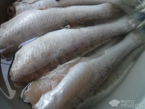 какая рыба без костей для жарки