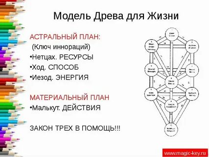 Древо жизни ключ