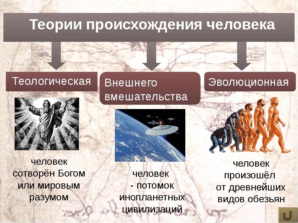 Опираясь на фрагмент многообразие. Теории происхождения человека. Основная теория происхождения человека. 2 Гипотезы происхождения человека. 3 Теории происхождения человека.