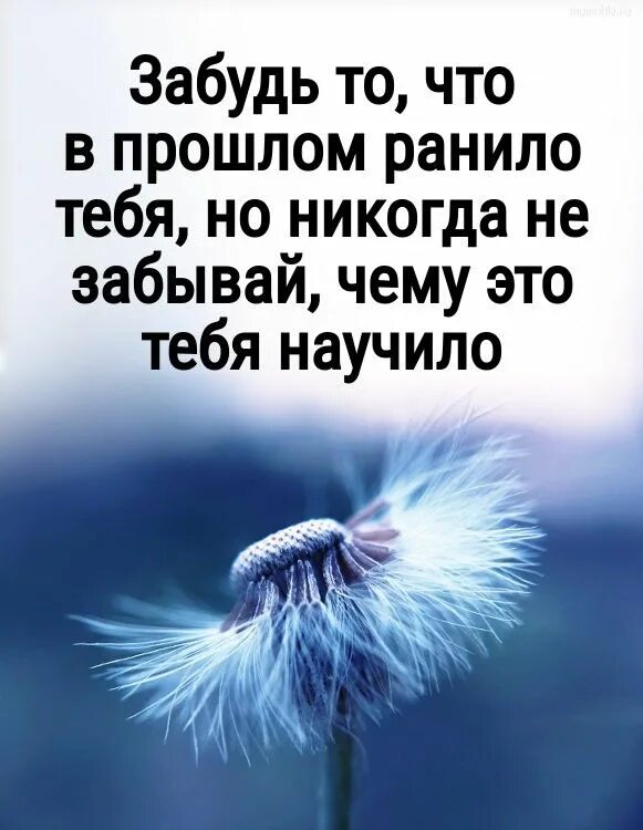 Забыть тебя а с кем я буду. Фразы про потерю друзей. Цитаты о прошлом в картинках. Забыть прошлое цитаты. Статусы про ночь.