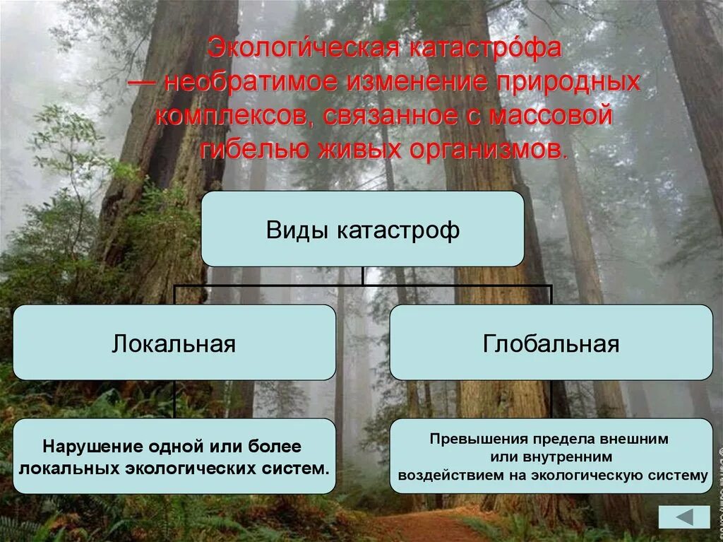 Необратимые изменения природных комплексов