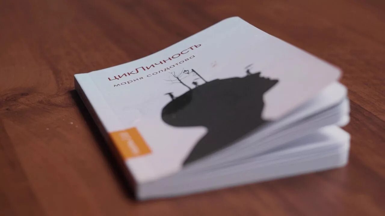Солдатов книга. Солдатов книга