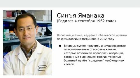 Родившиеся в 2006 году