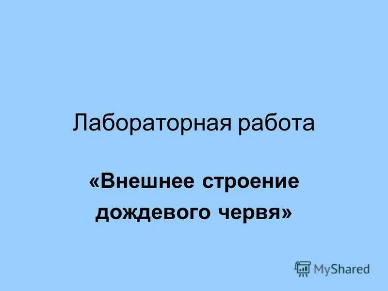 Лабораторная работа по биологии 7 класс внешнее. Внешнее строение дождевого червя лабораторная работа 7 класс. червяки дождевые лабораторная работа.