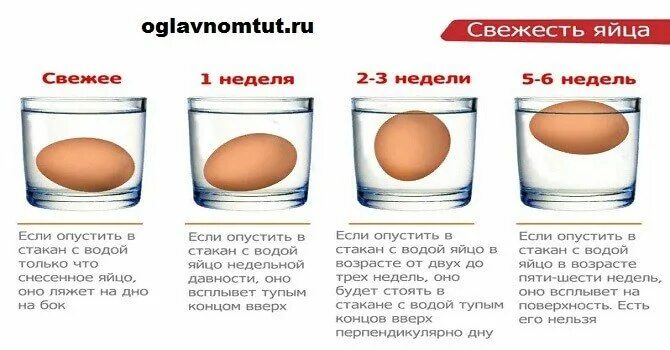 Почему всплывает сырое яйцо в холодной. Как проверить яйца на свежесть. Как узнать свежесть яиц. Свежесть яиц в воде. Как определить свежесть яйца в воде.