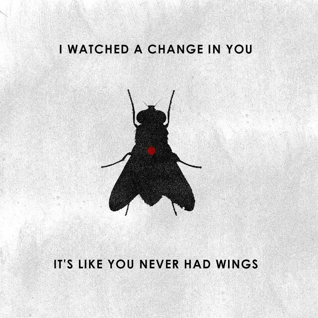 Be in change of. Deftones change обложка. change (in the house of flies) deftones. deftones-change (in the house of flies) (это клип). песня change deftones.