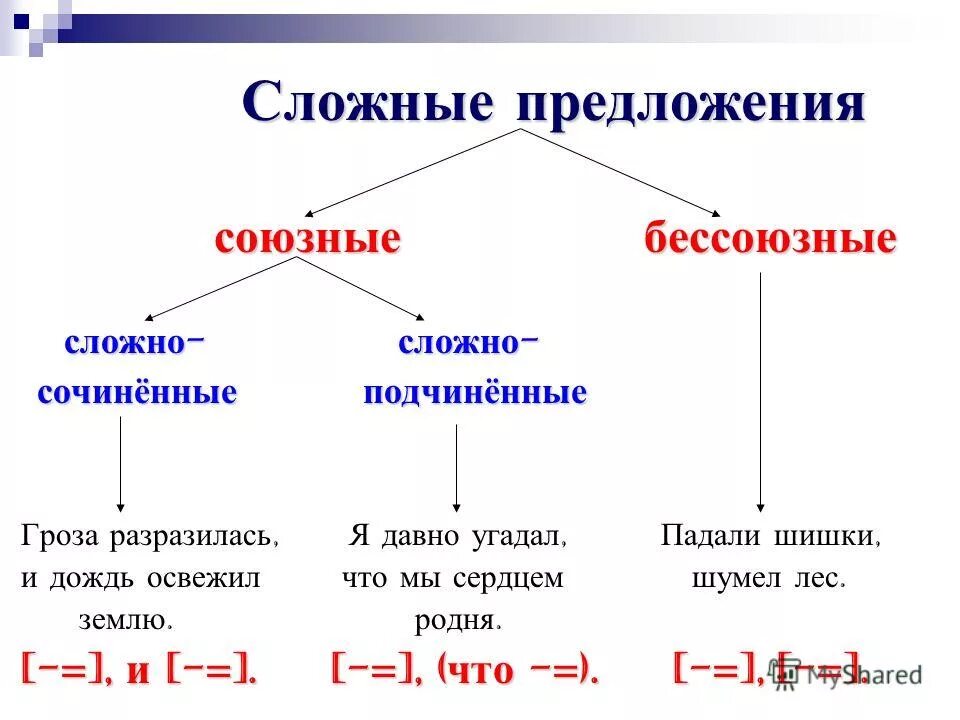 Перестройте сложные союзные предложения в бессоюзные. Сложные союзные предложения примеры. Простые и сложные предложения союзные и Бессоюзные. Союзные сложные предложения примеры со схемами. Схема союзные и Бессоюзные сложные предложения.