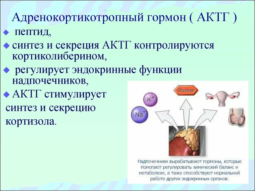 Слабость гормоны