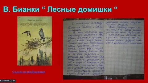 Бианки лесная газета читательский