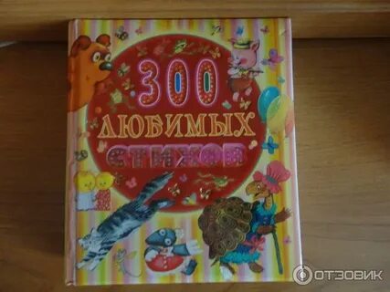 Книга 300