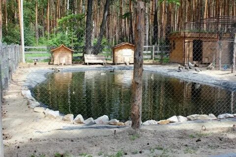 Поселок березка тамбовский