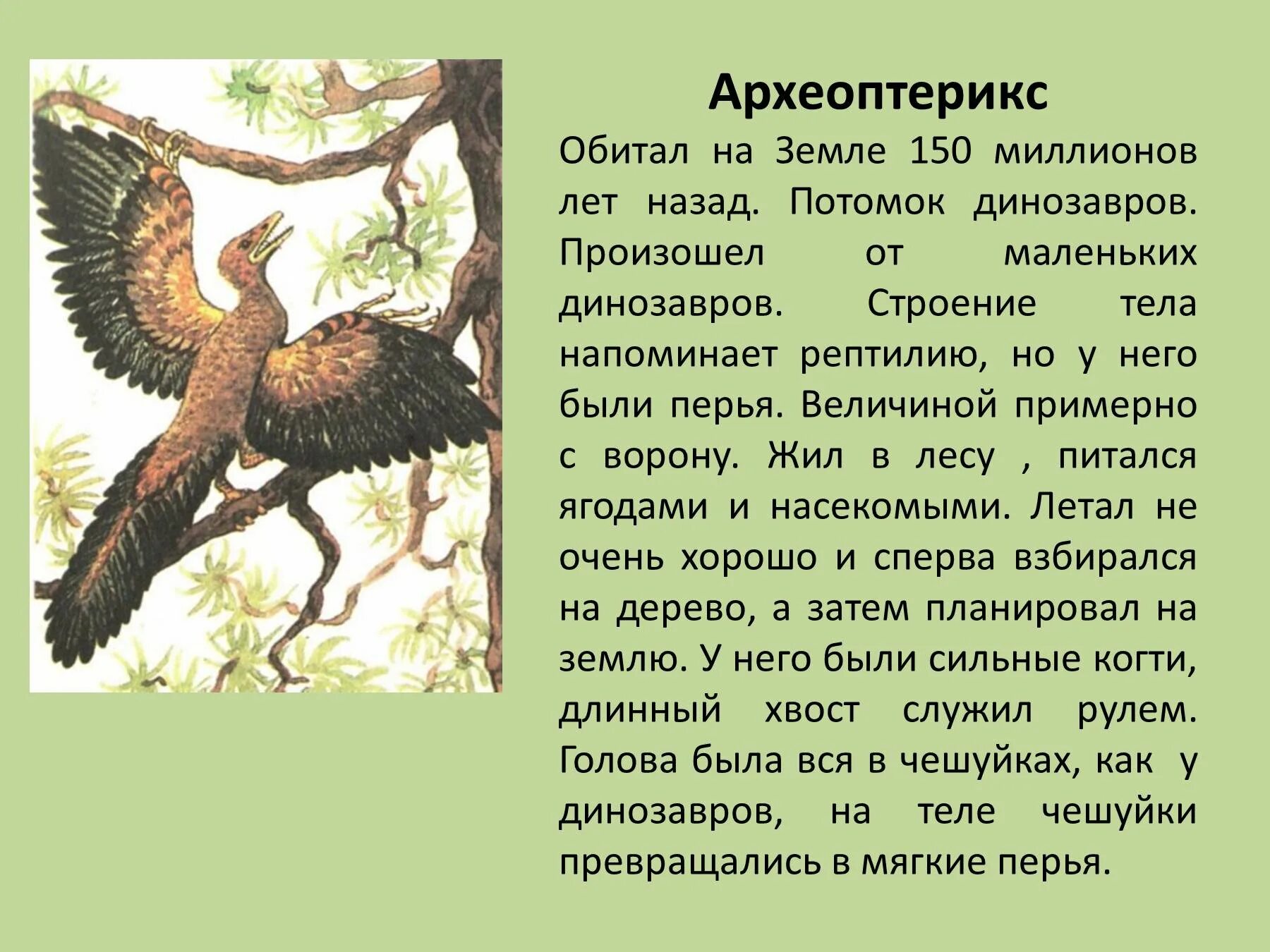 Сообщение на тему древние животные. Древние животные сообщение. презентацию древние животные и растения. сообщение о древнем живот. древние животные доклад.