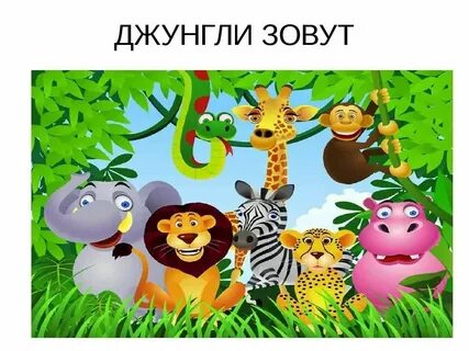 Джунгли зовут