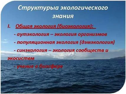 Роль организма в окружающей среде