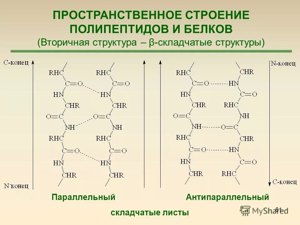 Нарушение пространственной структуры белков. Пространственная структура белков. Белки пространственная структура. Факторы ренатурации белка. Строение и структура белковой молекулы.