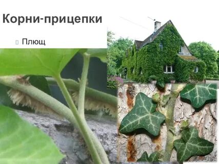 Найти зацепки