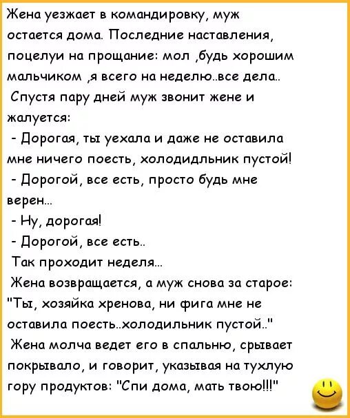 Когда муж был в командировке жена. Анекдоты про мужа и жену. Анекдот про мужа и жену прикольные. Приколы про мужа.