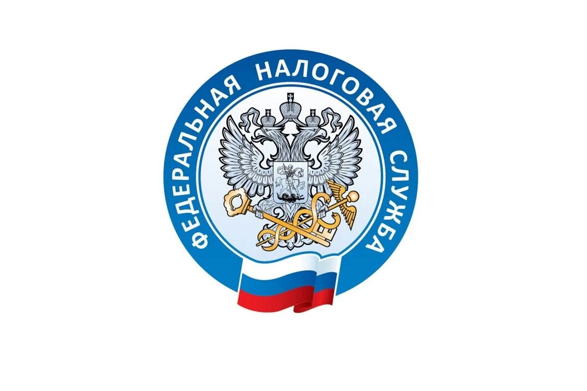 Фнс 0. Фнс 0