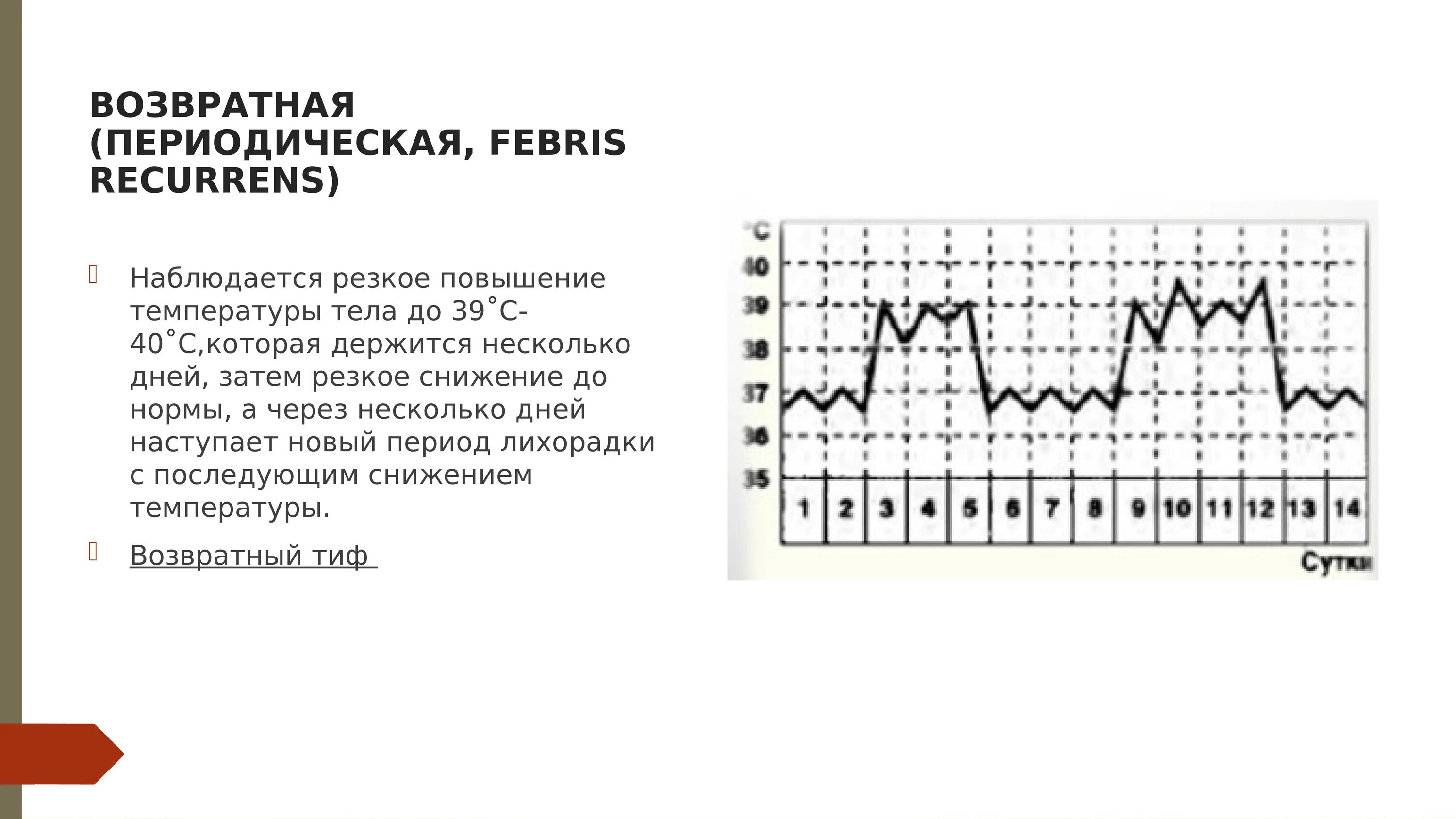 Гектическая лихорадка (Febris hectica):. Возвратная лихорадка характерна для. Возвратная периодическая лихорадка. Возвратный Тип лихорадки.