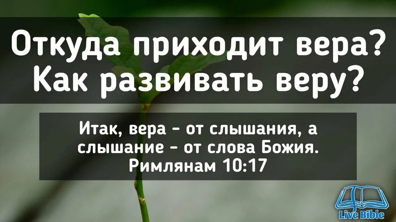 А без веры угодить богу невозможно библия. И придя найдет ли веру на земле. А без веры угодить богу. Высказывания о вере в бога. Стихи из библии.
