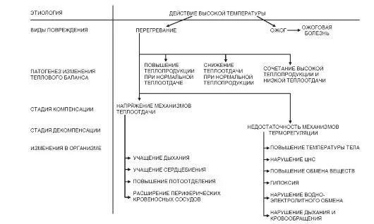 Механизм патогенного воздействия высоких и низких температур. Патогенное действие низкой температуры на организм. Действие высокой температуры на организм патофизиология. Механизмы действия пониженных температур.