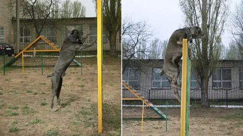 Высокий через
