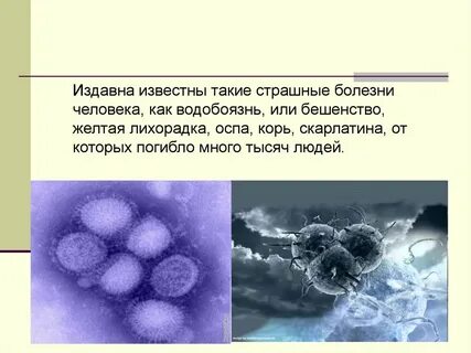 Болезни человека презентация
