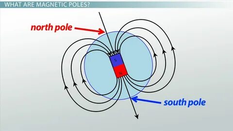 Полярный magnet