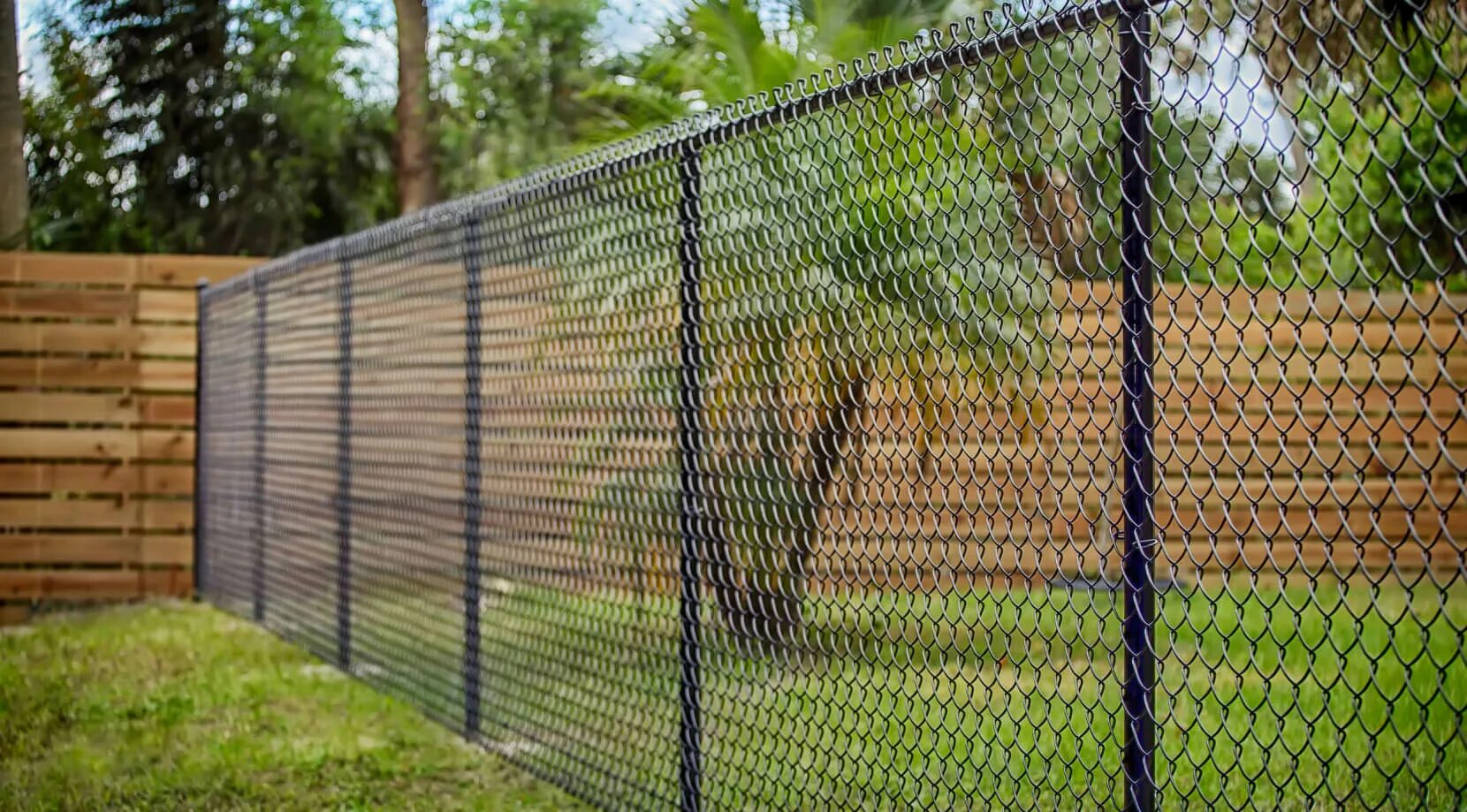 Забор на территории соседа. Забор сетка рабица. Забор из сетки рабицы. Секционный забор из рабицы. Забор между соседями из сетки.