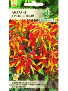 Однолетние декоративно лиственные