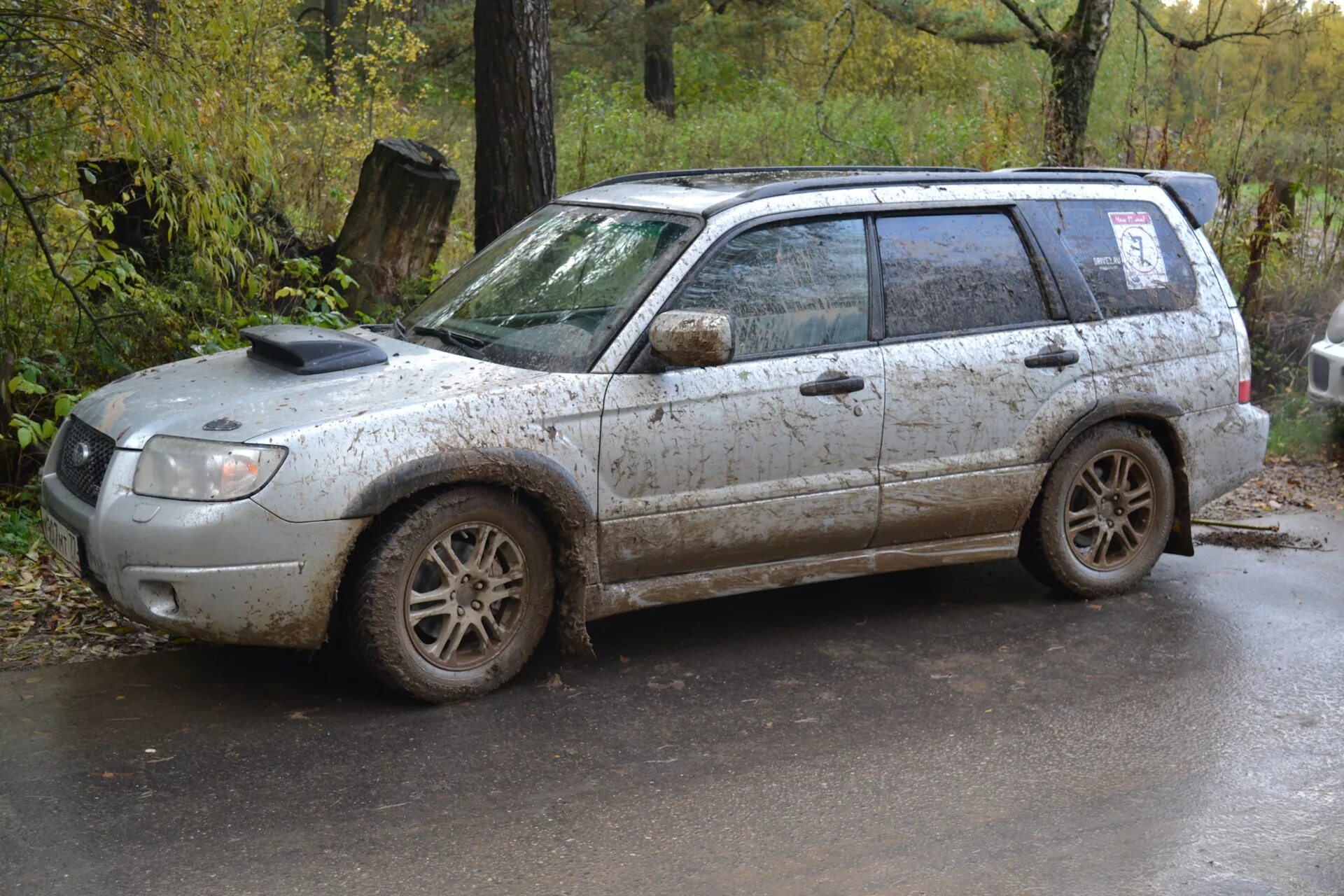Субару форестер клуб. Subaru 11. Субару форестер 5. Субару форестер клуб. Subaru forester sg5 sti.