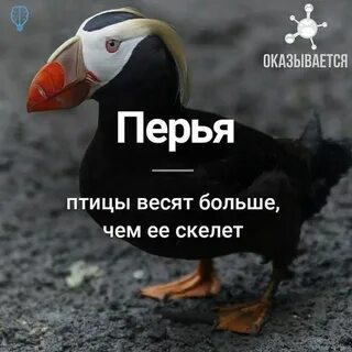 Все интересное было