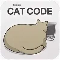 Cat codes