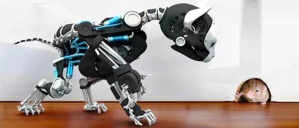 Робот-собака. Лазерный робот для кошек. Роботы животные. Робот кошка видео. Роботизированный кот.