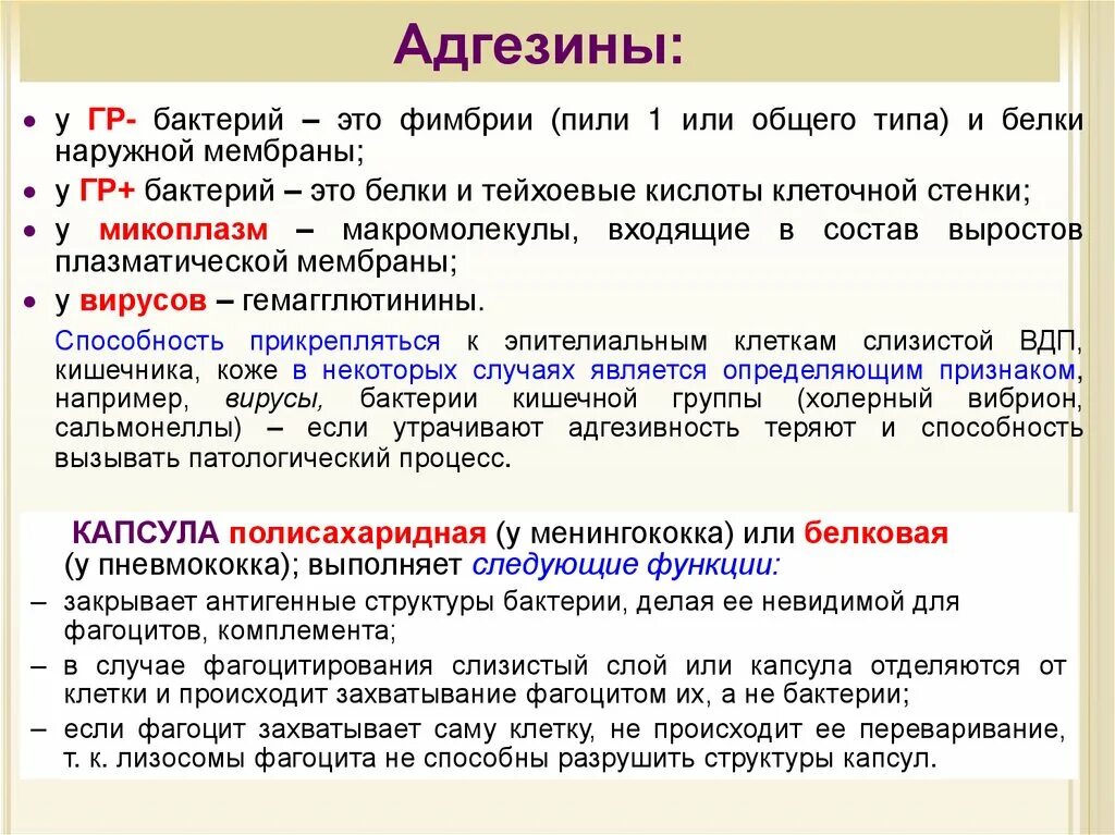 К какой группе патогенности отнесен ковид. Патогенность и вирулентность микробов. Адгезины бактерий. Патогенность и вирулентность микроорганизмов микробиология. Патогенность и вирулентность вирусов.