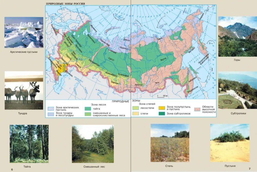 Сопоставьте карту природных зон россии. Карта природных зон России субтропики. Карта природных зон России 4 класс субтропики. Природные зоны России карта 4кл. Природные зоны России атлас 8.