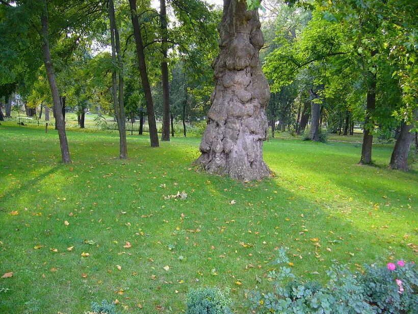 Отдых в Симферополе весной 2024: лучшие отели в городе с ценами и отзывами